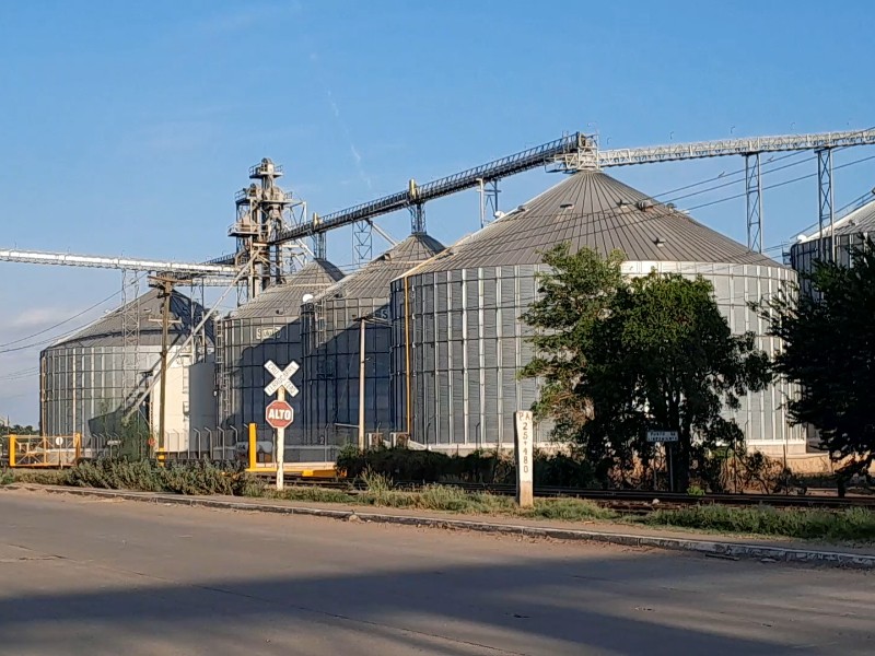 Mafia entre industriales y bodegueros acaban con el campo sinaloense