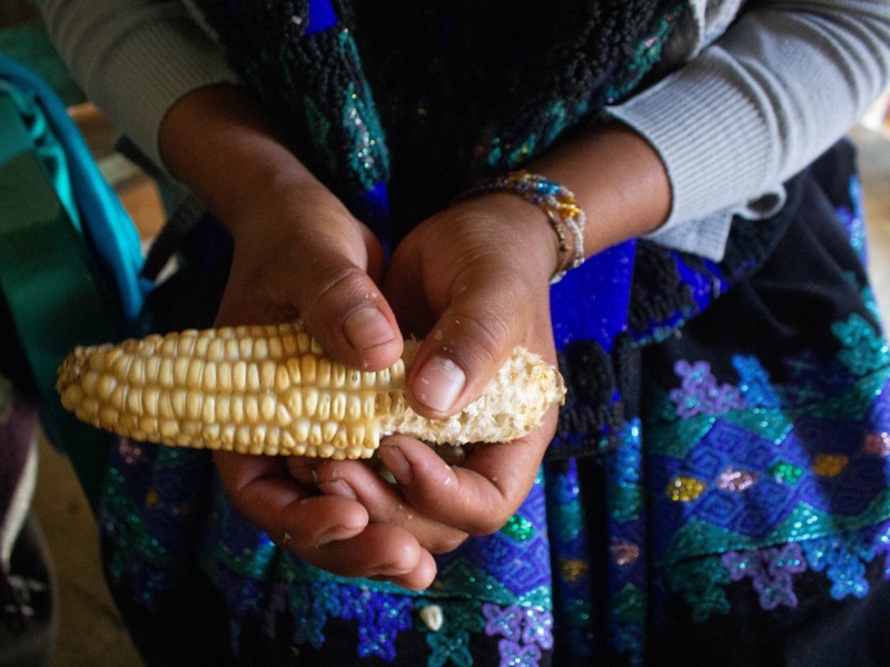 Maíz mexicano sigue siendo la base de los alimentos