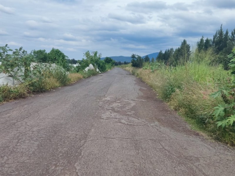 Mal estado de caminos rurales genera afectaciones a cultivos