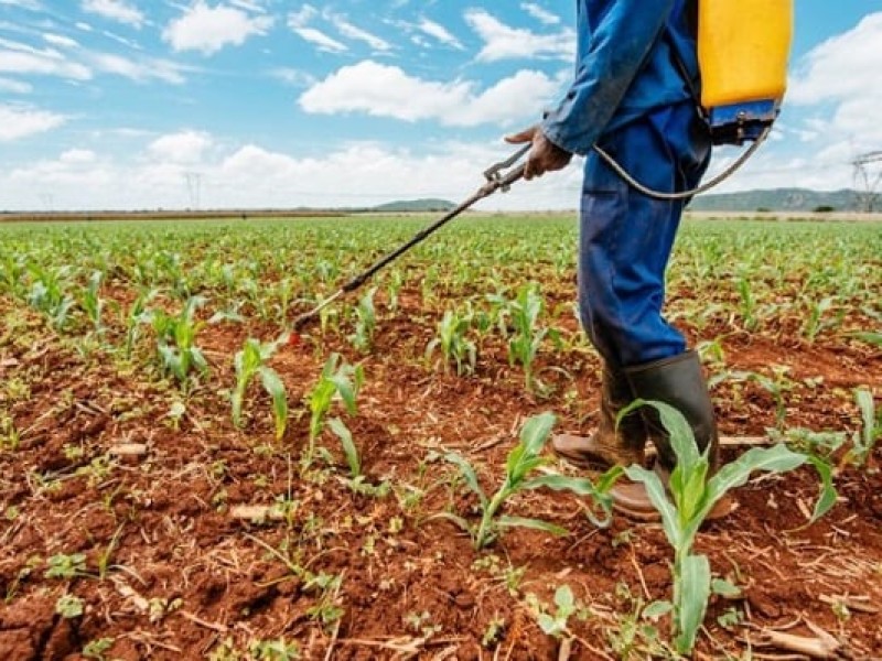 Mal manejo de pesticidas pone en riesgo a usuarios