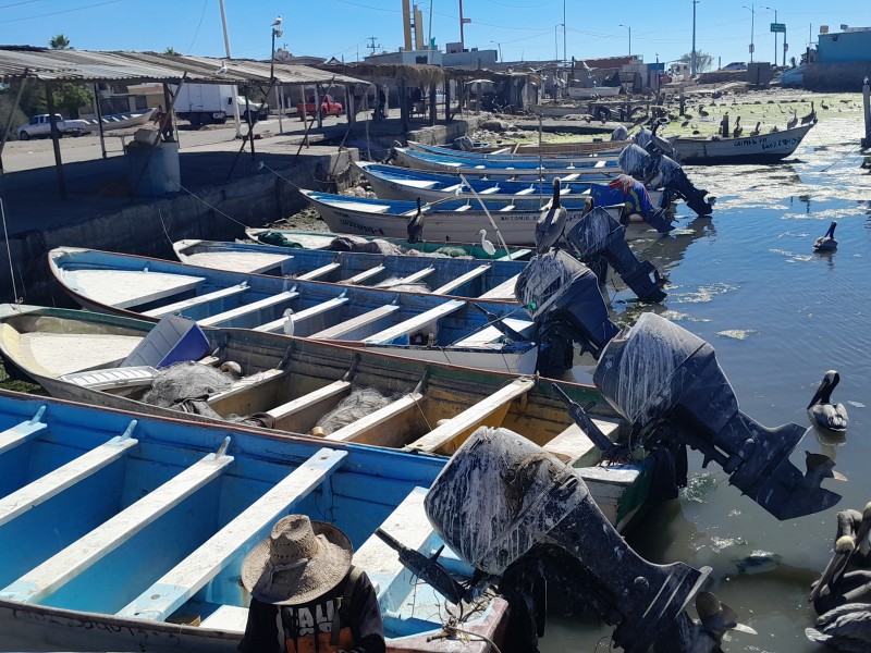 Mal tiempo pasan pescadores  el clima es principal factor