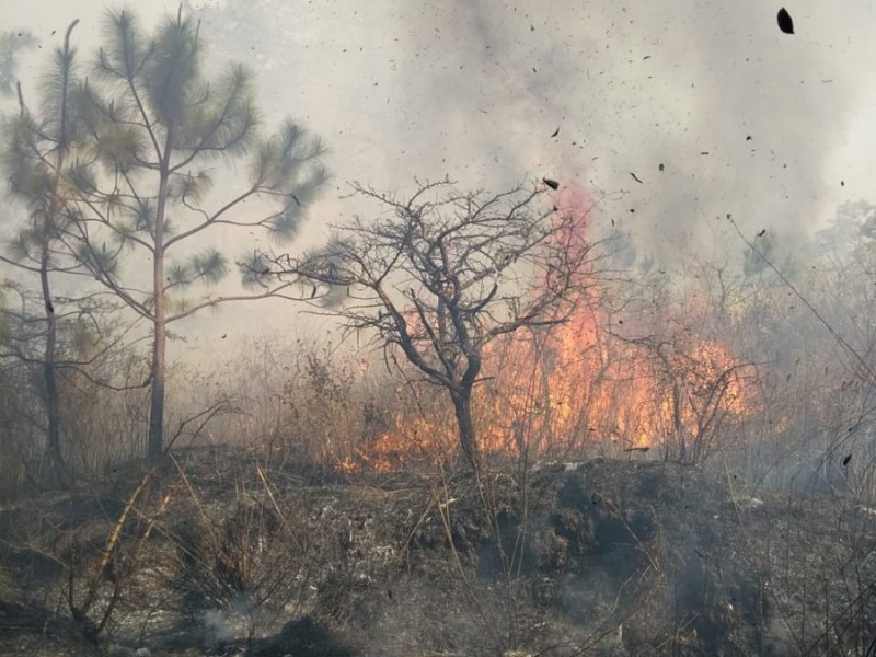 Mala calidad del aire en Tepic: SEDERMA