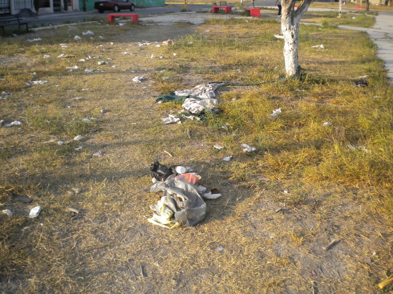 Maleza y basura ensucian parque de Bosques de Rentería