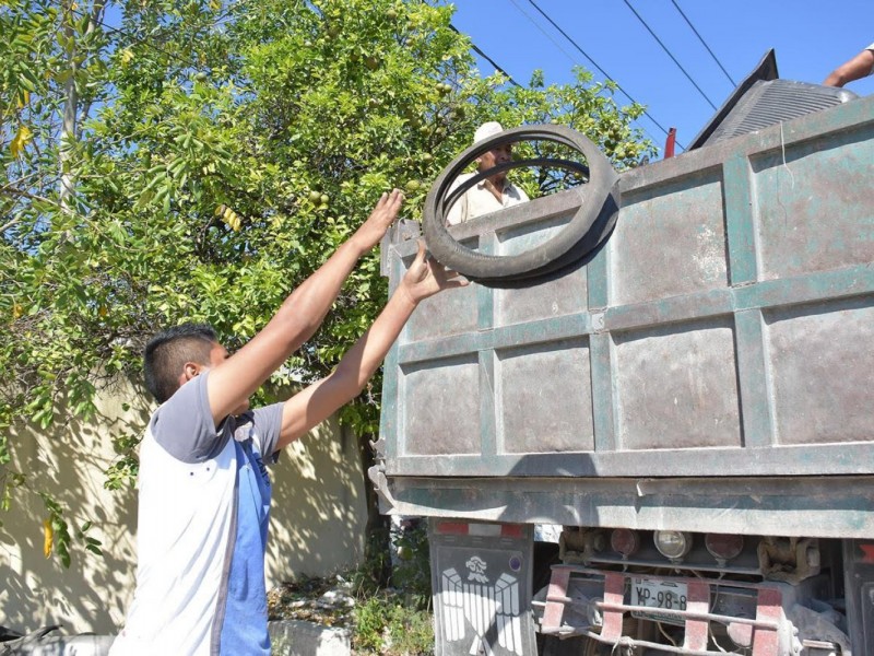 Mañana habrá descacharrizacion en comunidades de Armería