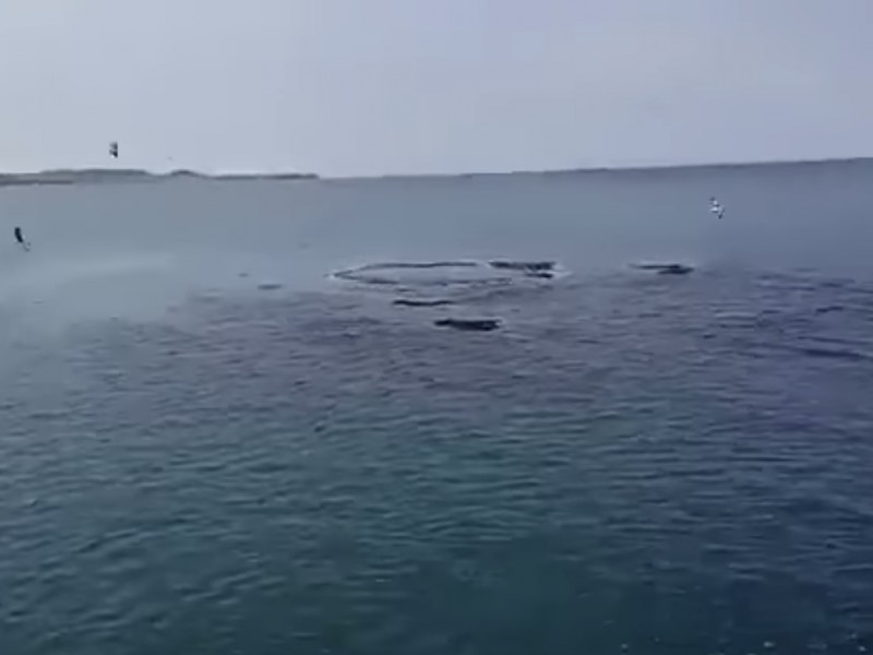 Manchas en el mar causan expectación en San Andrés Tuxtla