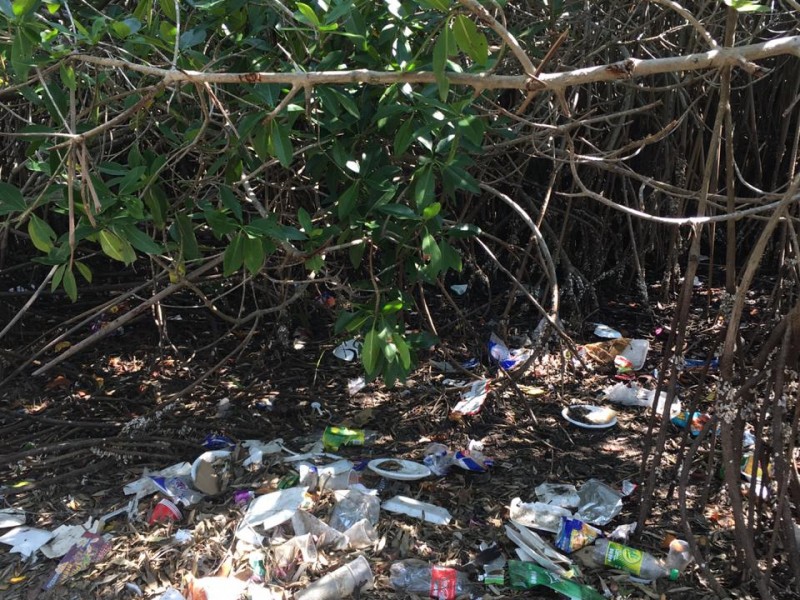 Manglares de Barra de Potosí entre basura