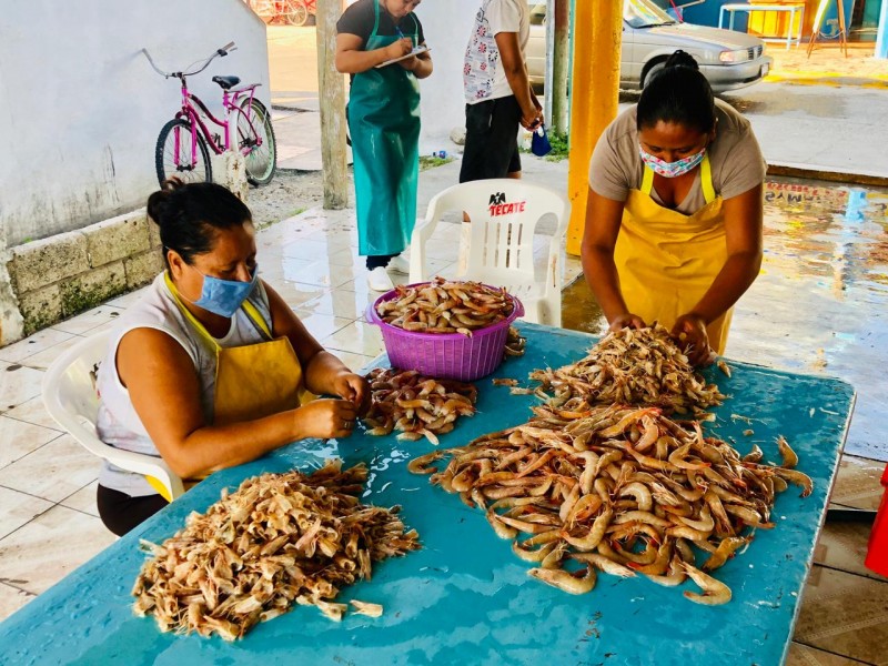 Manos femeninas abastecen pescaderías y restaurantes