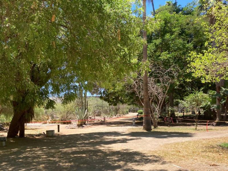 Mantendrán acordonadas áreas del Parque Sinaloa por riesgo estructural