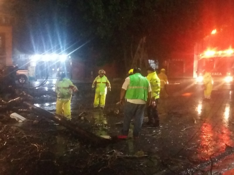 Mantiene CEPCO operativo por lluvias en Oaxaca