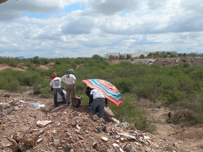 Mantiene FGJES procesamiento forense tras hallazgos de cuerpos en Cajeme