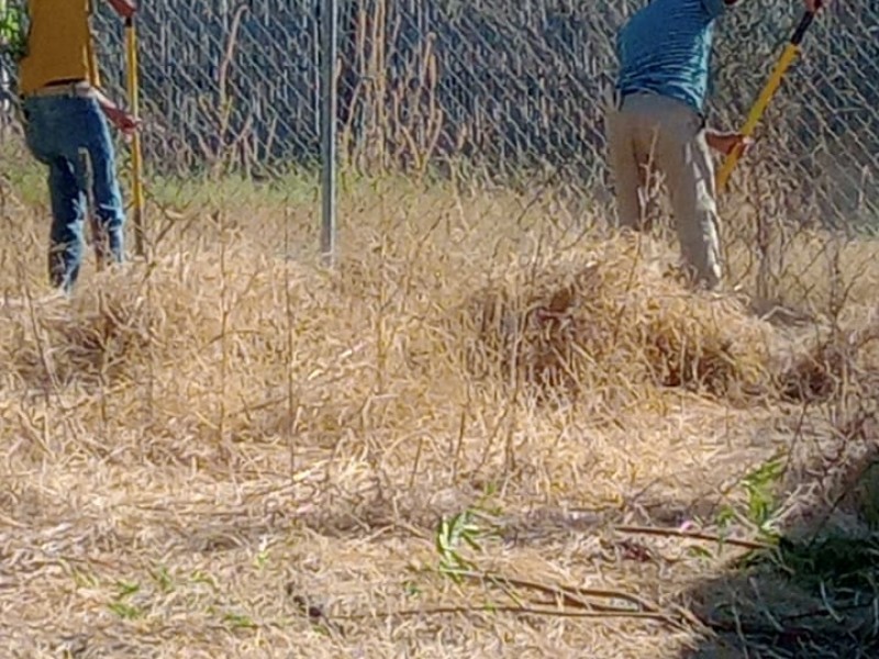 Mantiene Servicios Públicos intensa actividad en el área rural