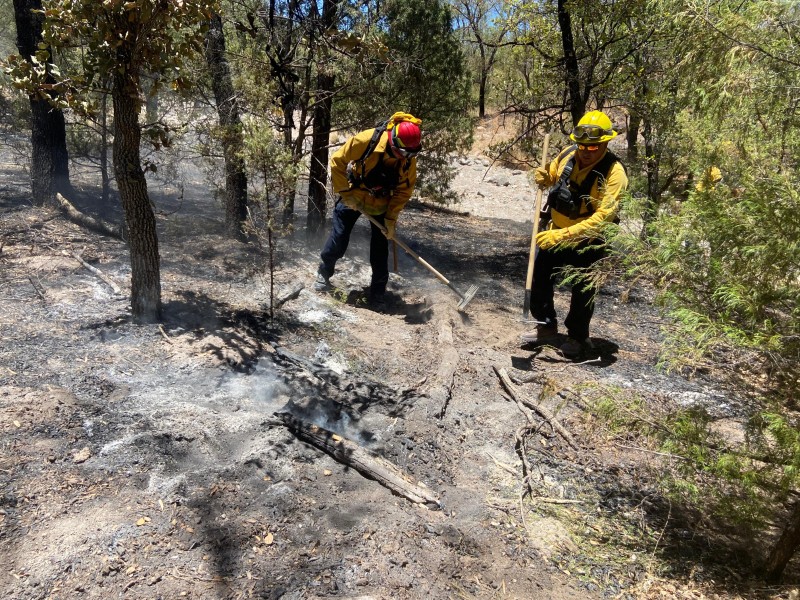 Mantienen combate a incendios forestales en Sonora