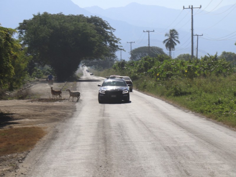 Mantienen libre tránsito en carretera Coalcomán-Tepalcatepec