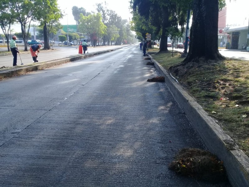 Mantienen recolección de residuos en Morelia