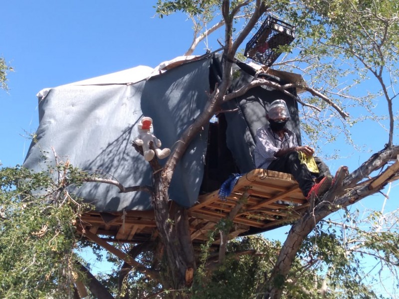 Manuel Ugalde construye su casa de árbol en un guamúchil