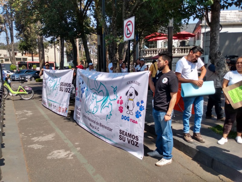 Marchan contra el abuso a los animales