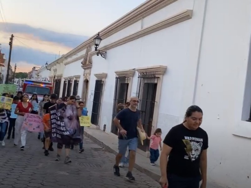 Marchan en Álamos contra el maltrato animal; buscan crear conciencia ciudadana