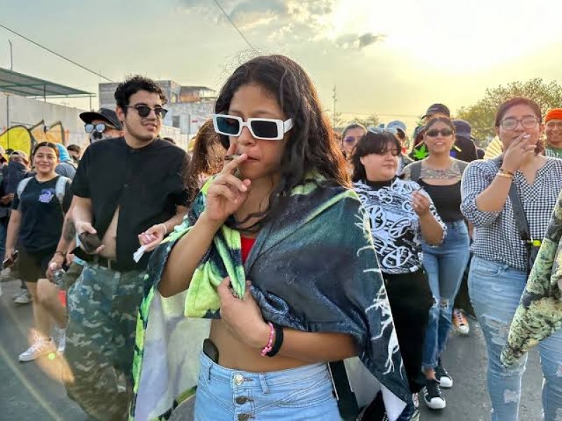 Marchan en pro de la legalización  de la mariguana