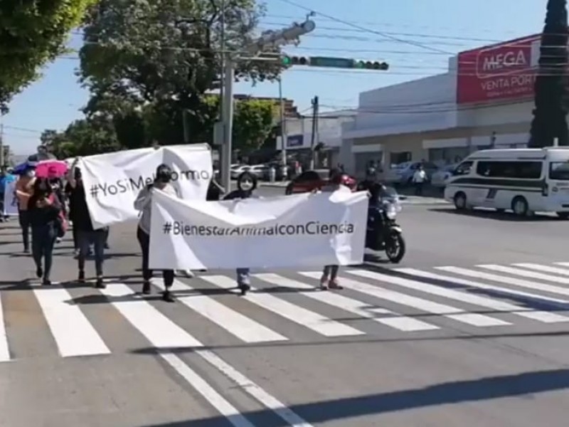 Marchan en Tuxtla contra Ley de Bienestar Animal