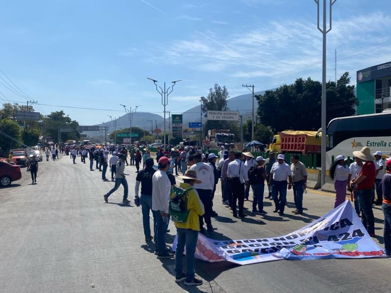 Marchan maestros de educación física en Chilpancingo