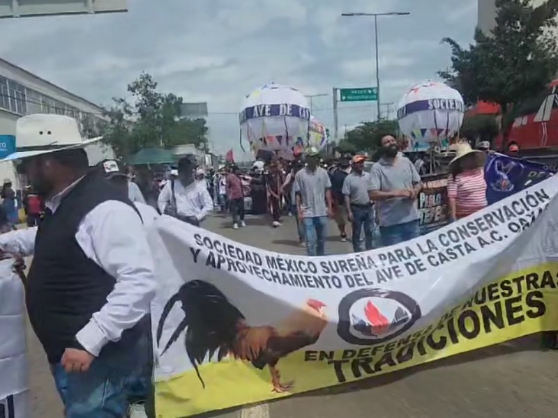 Marchan por conservación del folclor de fiestas patronales en Oaxaca