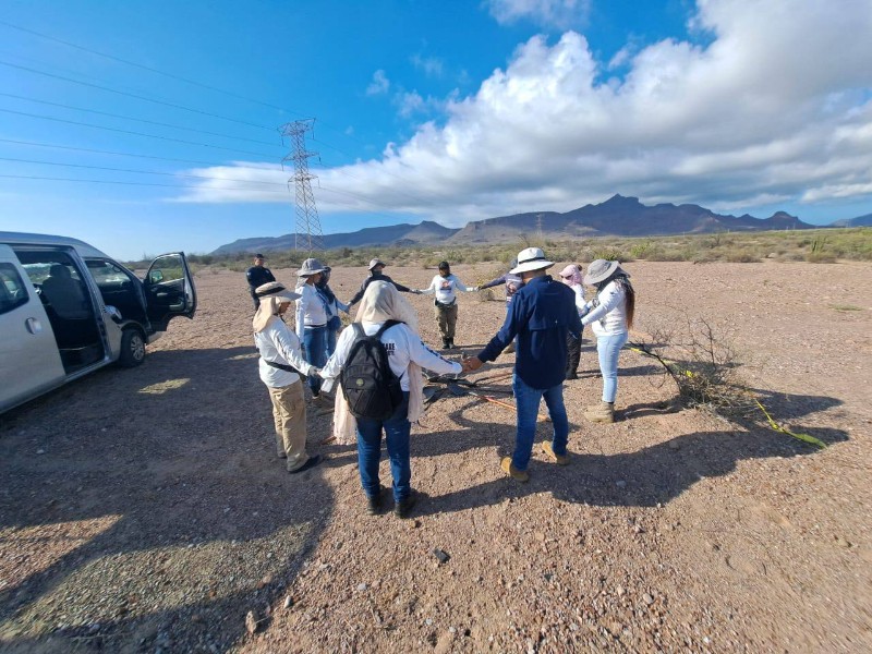 Marcharán Colectivos 