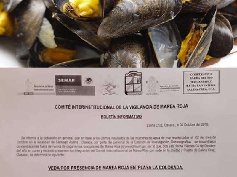 Marea roja en Astata, prohiben consumo de bivalvos