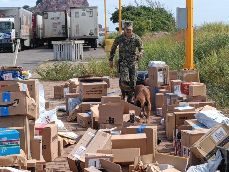 Marina retiene 1.7 toneladas de camarón en Sinaloa