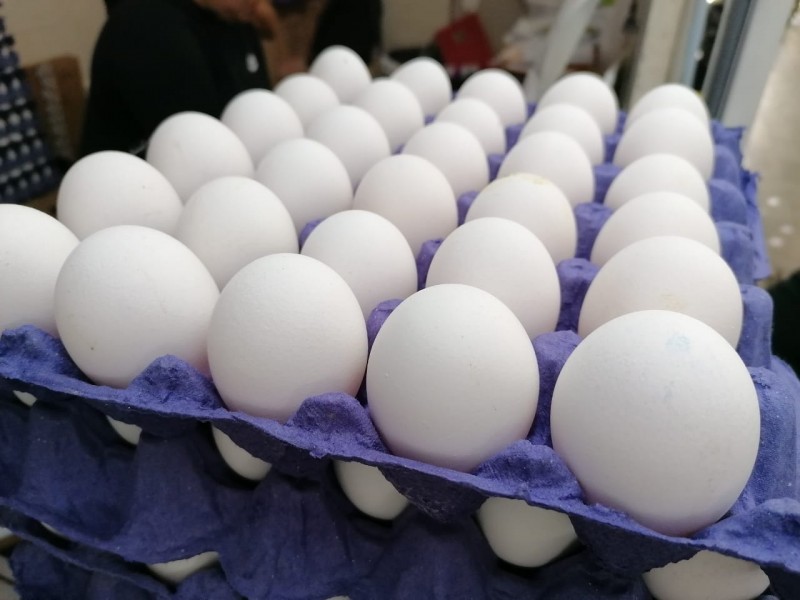 Martes de Canasta: Cartera de huevo subió 8 pesos