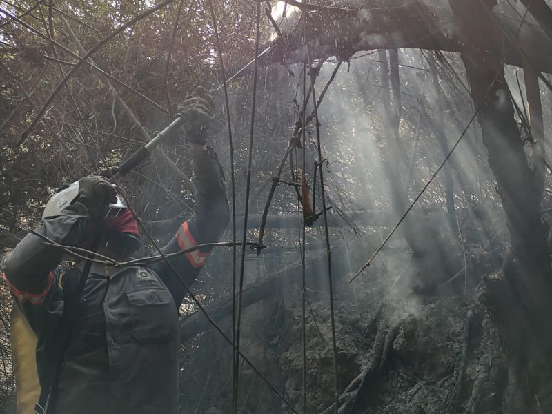 Más de 100 brigadistas combaten incendio