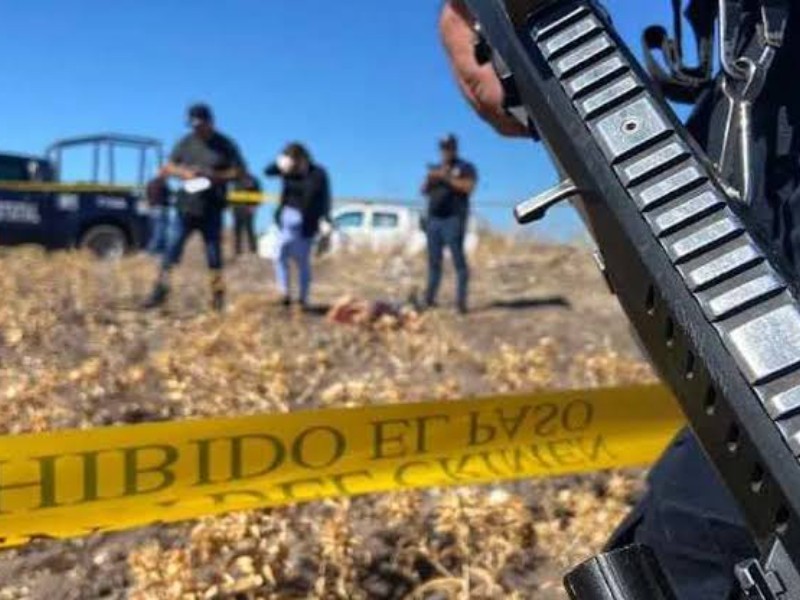 Más de 12 grupos delictivos identificados en Michoacán