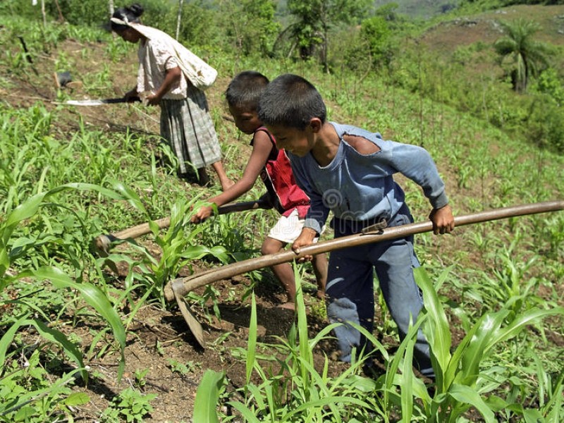 Más de 150 millones de niños en condición de pobreza