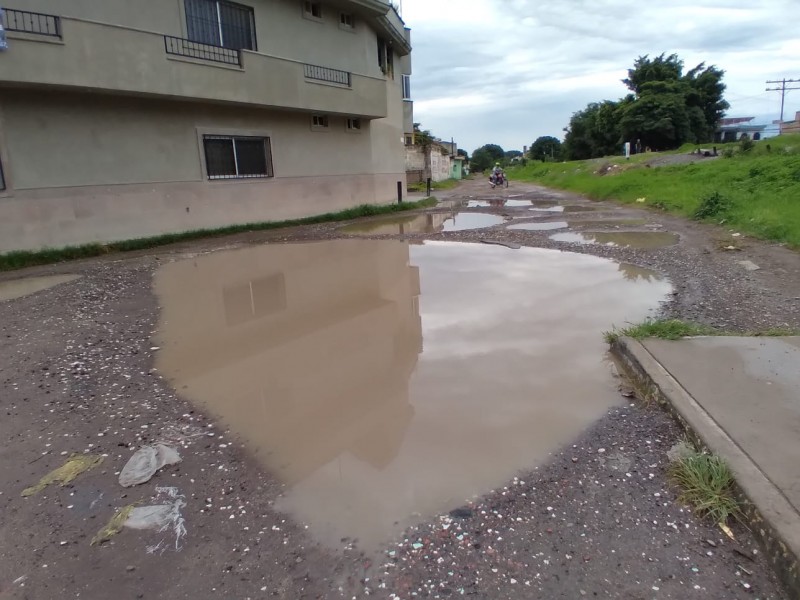 Más de 16 baches impiden transitar la calle Ferrocarril