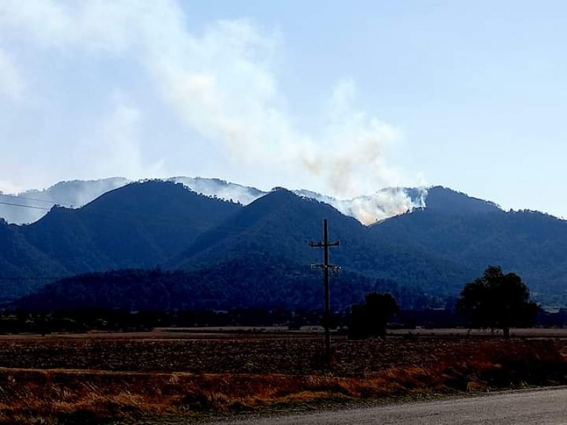 Más de 20 horas ha durado incendio forestal en Oriental