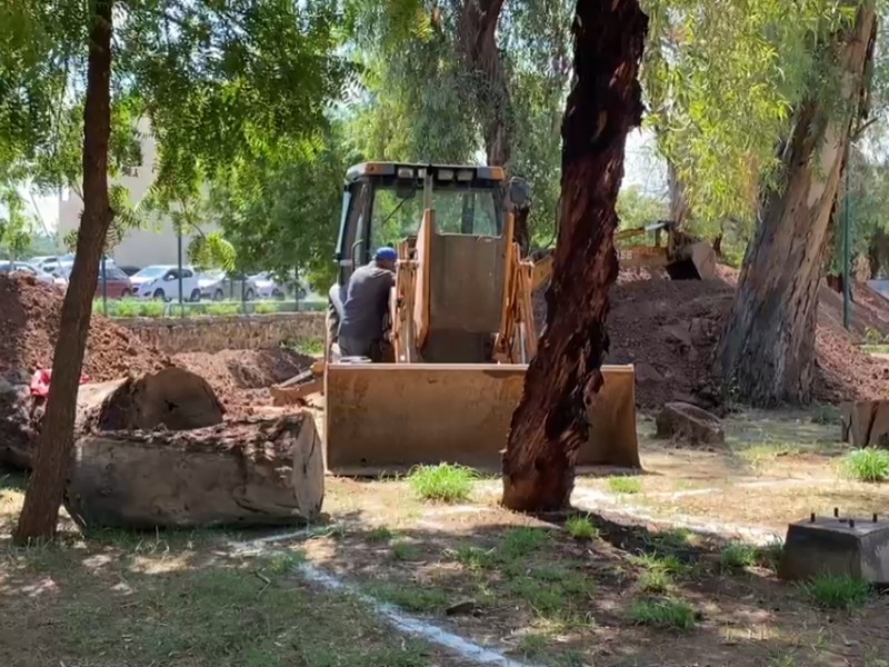 Derribarán casi 100 árboles en el Parque Infantil por proyecto de modernización