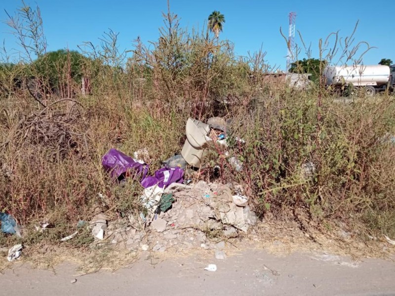 Más de 25 basureros clandestinos se han detectado en LosMochis