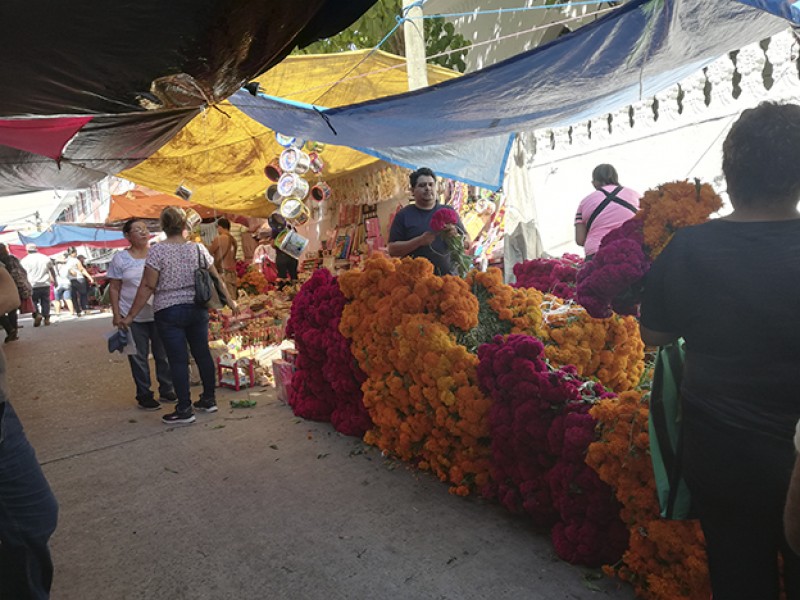 Más de 300 comerciantes en la Plaza de  Todos Santos