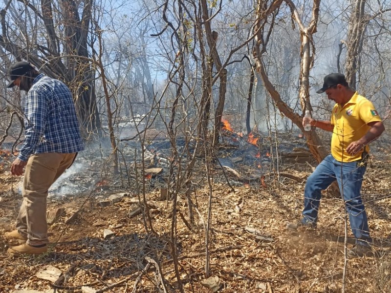 Más de 300 hectáreas dañadas por incendios en Sinaloa municipio