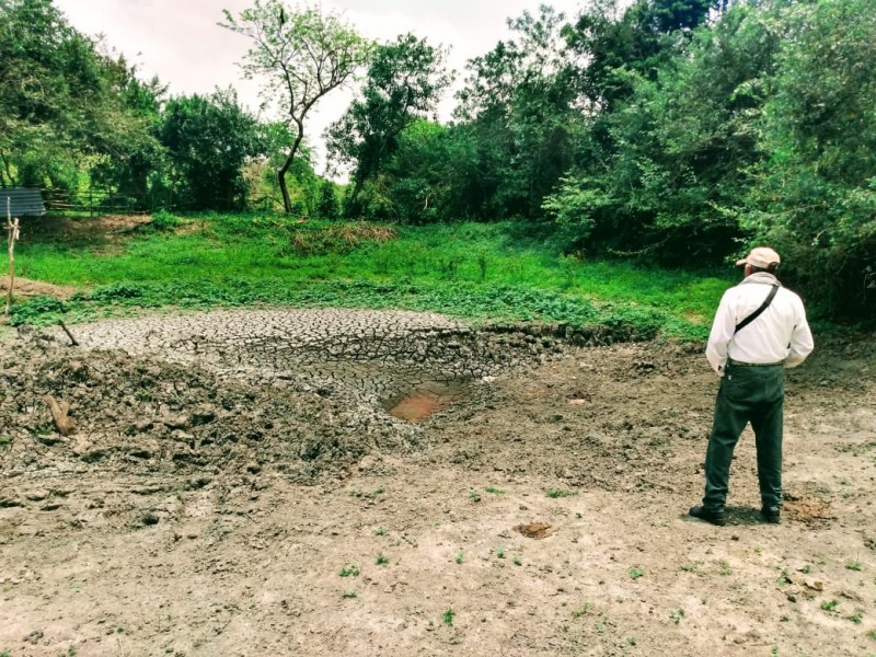 Más de 300 presas necesitan desazolve en Tuxpan