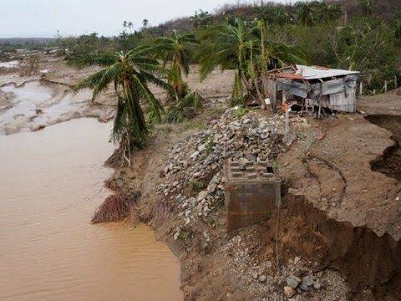 Más de 35 mil hectàreas de cafè devastadas por Ágatha