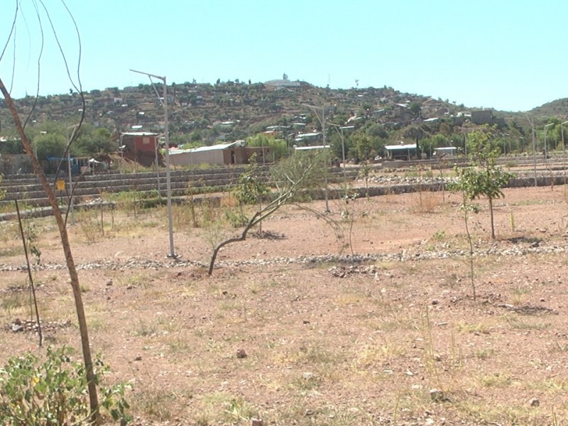 Más de 4 meses sin mantenimiento al parque del represo