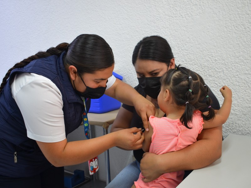 Más de 400 picaduras de alacrán en una semana.