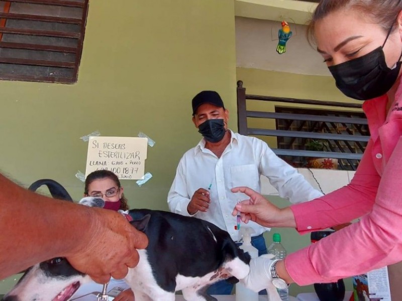 Más de 50 mascotas fueron vacunadas en la Yucatán