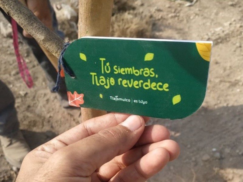 Más de 50 mil árboles se plantarán en Tlajomulco