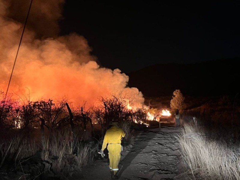 Más de 50 personas combaten Incendio forestal en Mazamitla