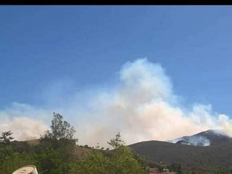 MAS DE 500 HECTÁREAS AFECTADAS POR INCENDIO