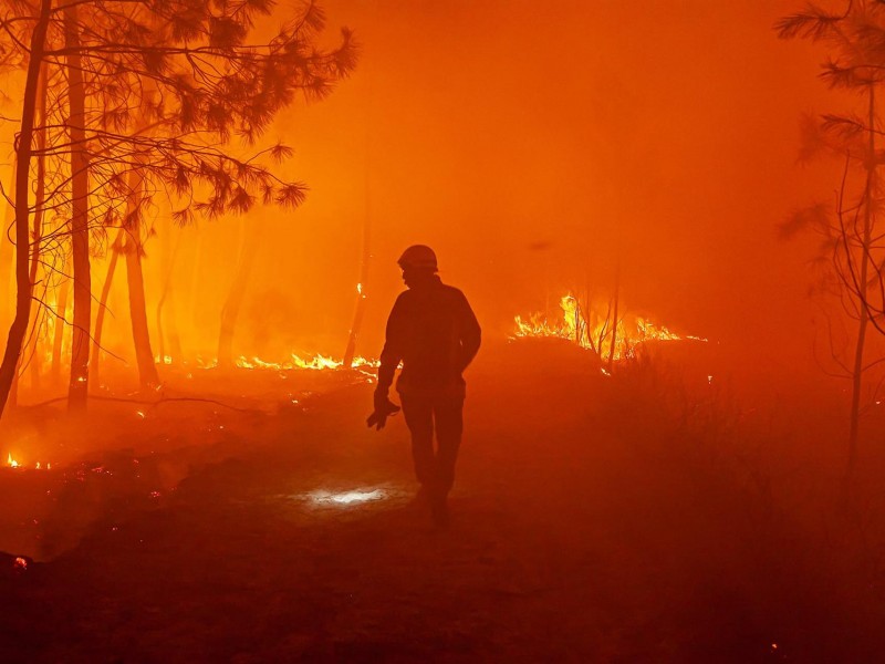 Más de 6 mil hectáreas perdidas por incendios en Marruecos