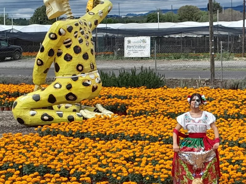 Más de 700 mil turistas para semana de muertos