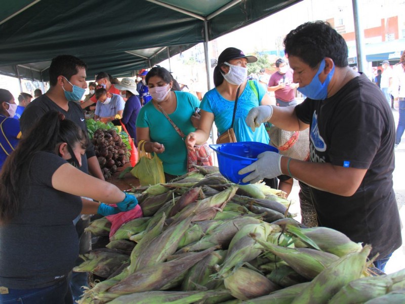 Más de 800 casos de Covid en zona norte