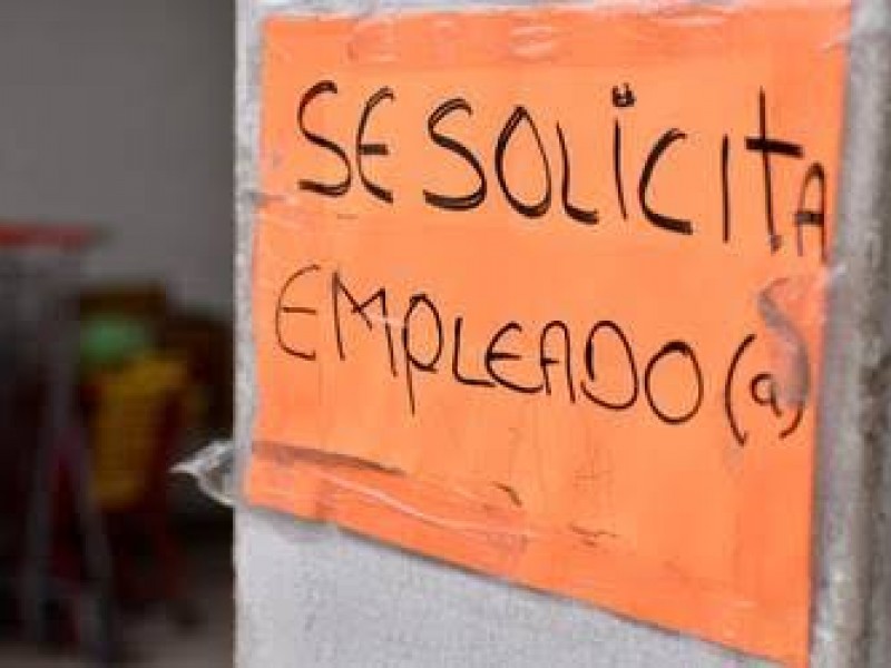 Más de 900 plazas vacantes en Tercera Expo Empleo virtual